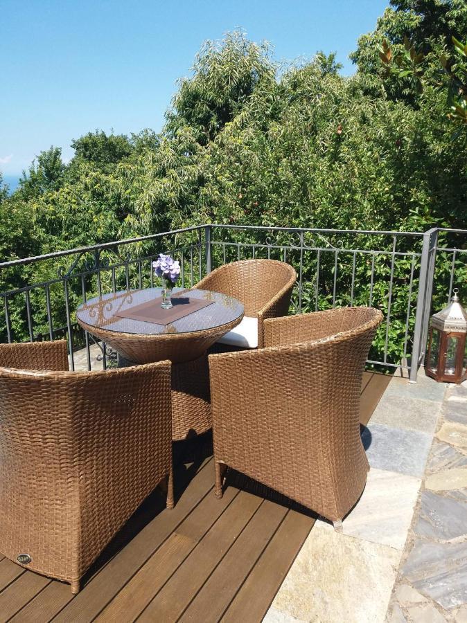 Aroma Piliou - Άρωμα Πηλίου Hotell Mourésion Exteriör bild
